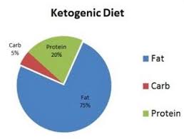 Ketogenic Diet Pie Chart In 2019 No Carb Diets Ketogenic