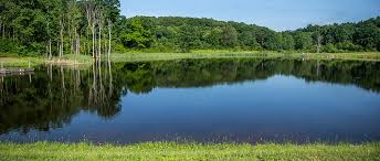 Raystown lake, 6145 seven points road hesston pa 16647. Hickory Hollow Campground Camping In The Laurel Highlands Of Southwestern Pennsylvania