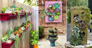 29 best diy vertical succulent garden ideas