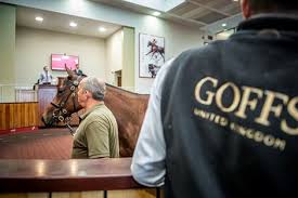 Tattersalls ireland are pleased to announce a new store sale which will be held at fairyhouse on wednesday 14 and thursday 15 july 2021. Goffs Uk Hosts Reformatted Autumn Sale Bloodhorse