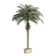 fake palm tree artificial plants