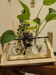 wood and glass wooden plant stand