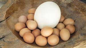 ostrich vs en eggs which is more