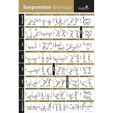 Laminated Suspension Exercise Poster Strength Training Chart Build Muscle 780150971381 Ebay