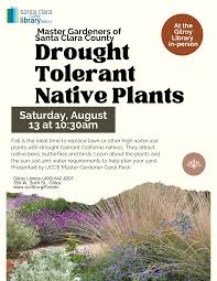 drought tolerant native plants with the