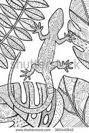 Free lizard coloring pages for kids lizards coloring. Pin On Coloring Pages