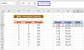 excel formulas for bmi calculation in