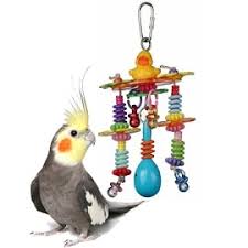 diy bird toy parts