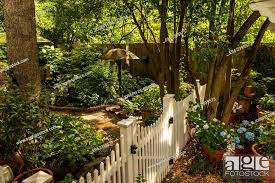 A White Picket Fence And Gate In A