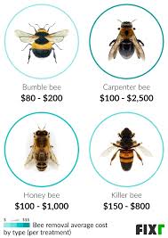 Fixr Com Bee Removal Cost Bee Nest