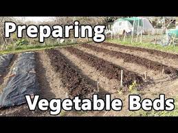 Preparing Vegetable Beds You