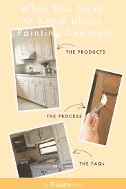 It's not only great for cabinets but furniture too. What You Need To Know Before Painting Cabinets The Palette Muse