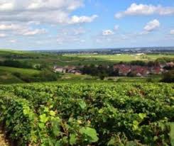 Learn About Rhone Valley Wines Complete Guide To Best Wines