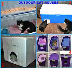 It is best addition in the home for the indoor as well as for outdoor cats. Pin By Kathy Turnbull On Things To Remember Outdoor Cat Shelter Cat Shelter Cat House