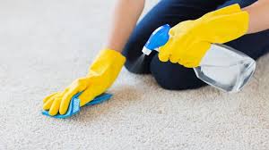 carpet cleaning jo maintenance
