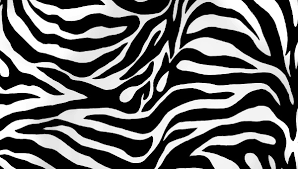 free 15 zebra patterns in pat vector eps