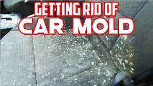 getting rid of terrible mold in my car