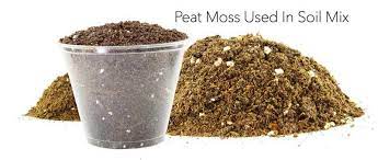 what is peat moss how to best use