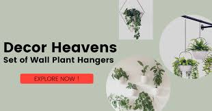 40 Set Of Plant Hangers Elevate Your