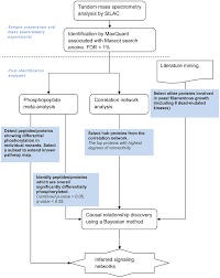 Summary Flow Chart Of The Analytical Workflow