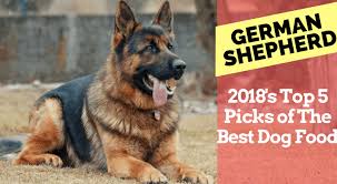 best dog food for german shepherds