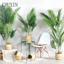 bonsai tropical palm plants simulation