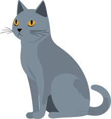 cat clipart silver tipped blue gray