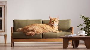 If you make a purchase through these links, we earn a small commission at no extra charge to you. You Can Now Buy Luxury Japanese Furniture For Cats And It S Amazing