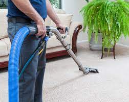 professional carpet cleaning the