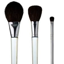 clinique the brush collection review