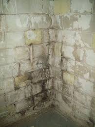 cinder block foundation mold in basement