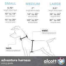 Adventure Harnesses