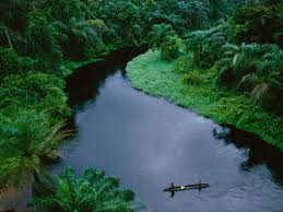 rainforest and amazon facts and information