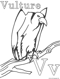 Download printable vultures coloring pages to print for free. Wild Vulture Alphabet S2570 Coloring Pages Printable
