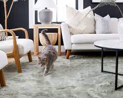 cat rugs a cat rug or cat area rug