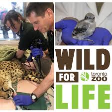 Wild For Life
