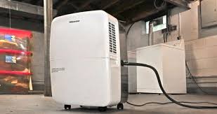 Best Dehumidifiers For Your Basement