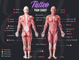 tattoo pain chart the most least