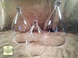 glass dome medium bell jar cloche 9