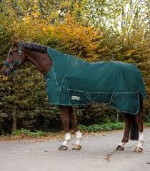 horse rugs for every weather occasion
