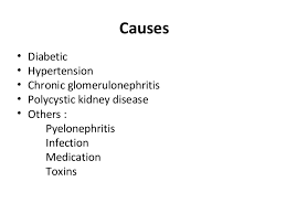 Chronic Kidney Disease and Hypertension  A Destructive Combination SP ZOZ   ukowo Case Study