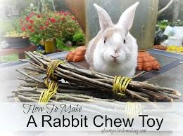 how to make a rabbit chew toy a farm