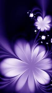 purple beautiful flowers wallpaper