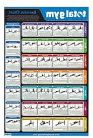 Weider Exercise Chart Searchub