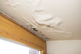 How To Repair Water Damage From A Roof Leak
