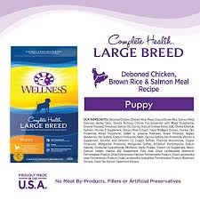 Wellness Complete Health Natural Dry Large Breed Puppy Food Chicken Salmon Rice