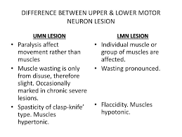motor neuron lesions powerpoint