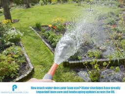 Theanswerhub is a top destination for finding answers online. How Much Water Does Your Lawn Use Pelican Water