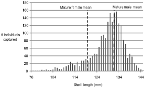 File Size Frequency Distribution For Nautilus Pompilius At