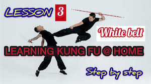 learning kung fu at home lesson 3
